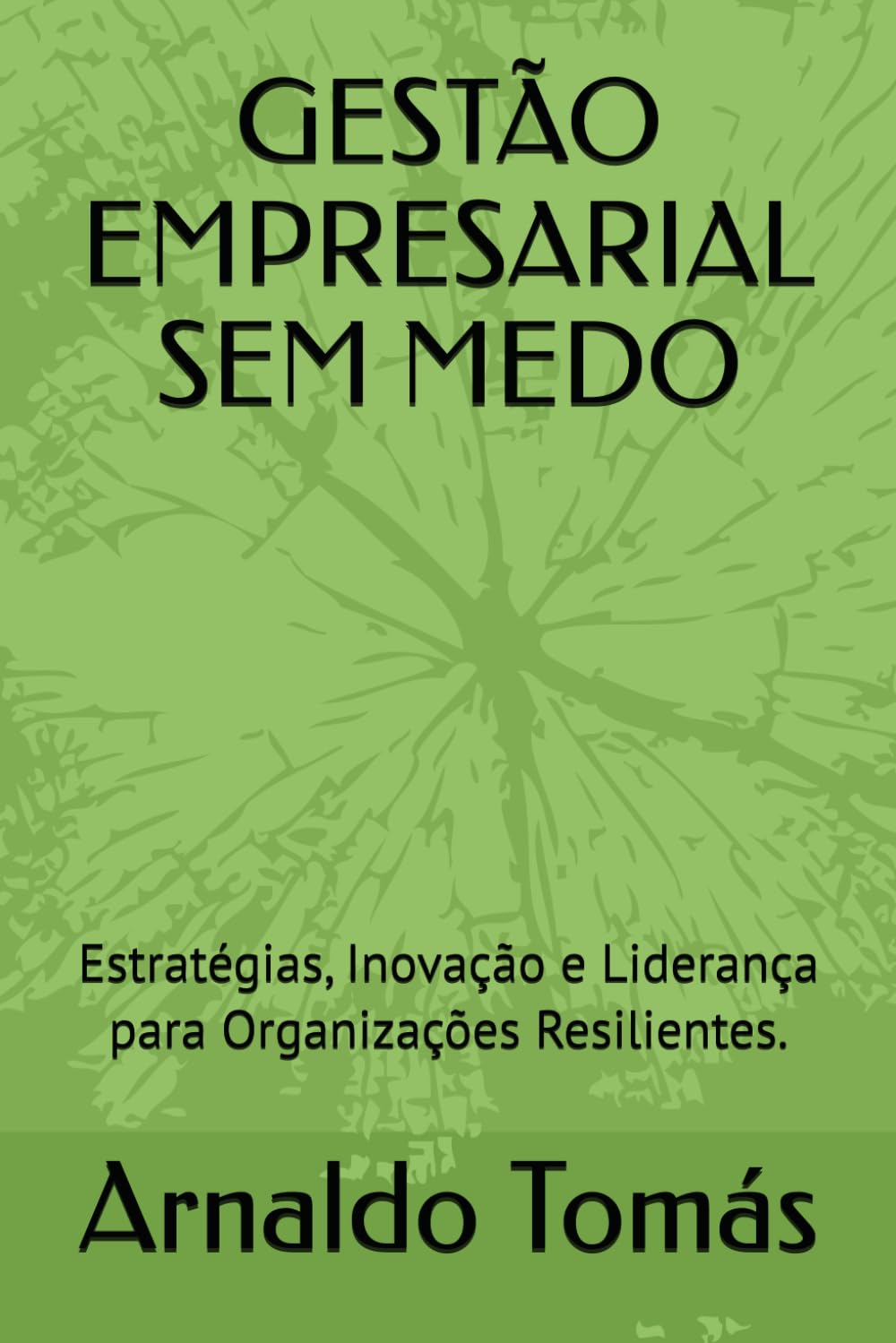 GESTÃO EMPRESARIAL SEM MEDO