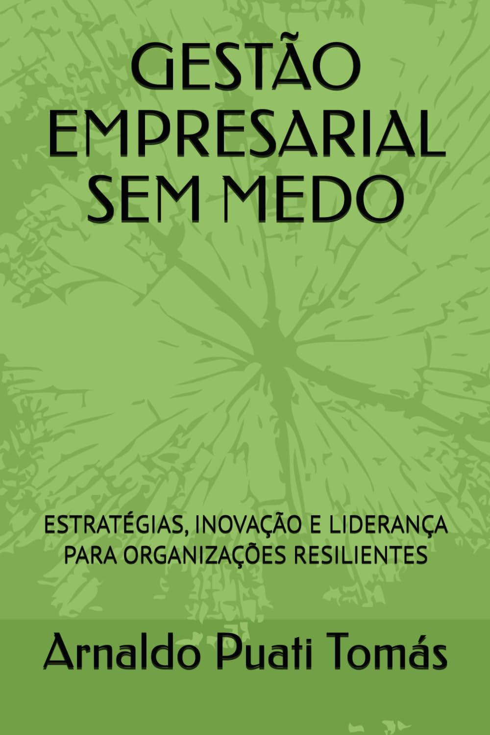 GESTÃO EMPRESARIAL SEM MEDO: ESTRATÉGIAS, INOVAÇÃO E LIDERANÇA PARA ORGANIZAÇÕES RESILIENTES