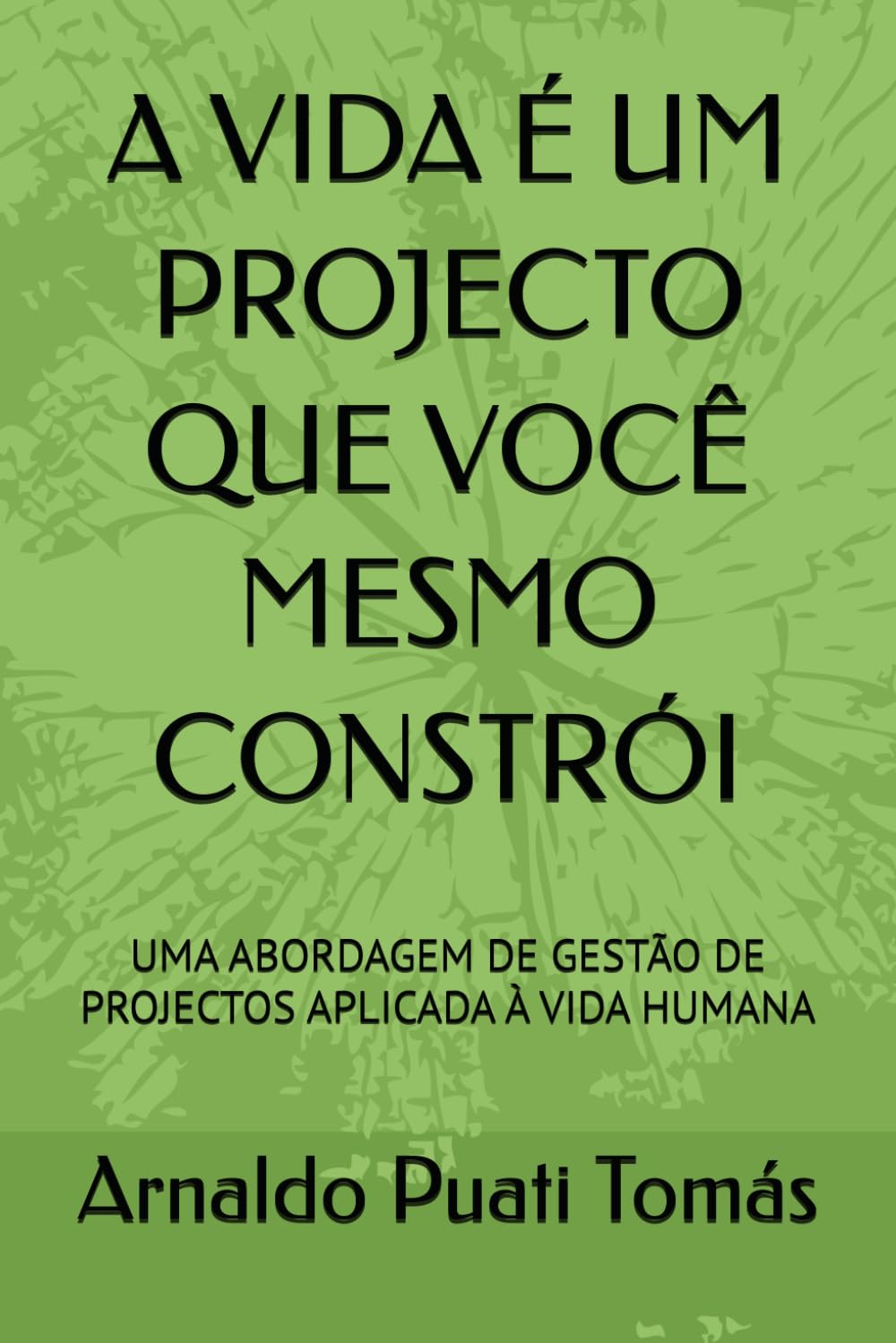 A VIDA É UM PROJECTO QUE VOCÊ MESMO CONSTRÓI: UMA ABORDAGEM DE GESTÃO DE PROJECTOS APLICADA À VIDA HUMANA